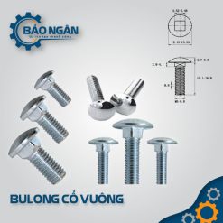 BULONG cổ vuông