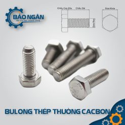 BULONG thép thường cacbon