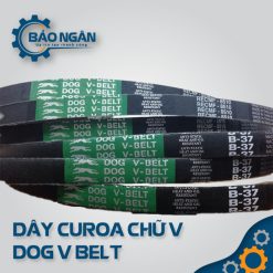 Dây Curoa Chữ V dog V vBELT