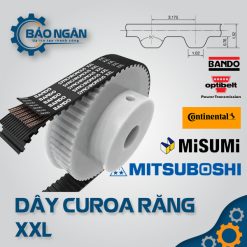 Dây Curoa Răng xXL