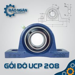 Gối Đỡ Vòng Bi UCP 208