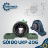 Gối Đỡ Vòng Bi UKP 206