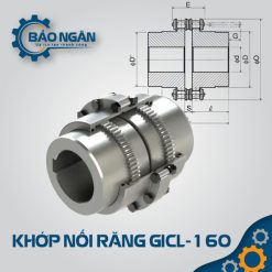 Khớp nối răng GICL-160