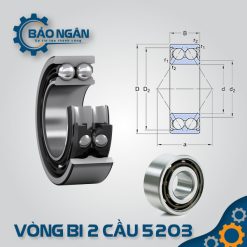 Vòng bi cầu 5203