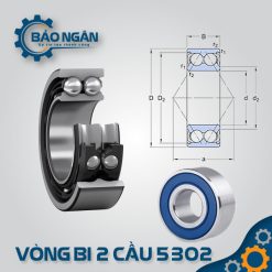 Vòng bi cầu 5302