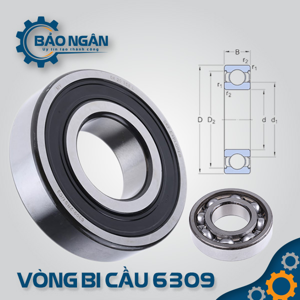 Vòng bi cầu 6309