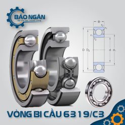 Vòng bi cầu 6219/C3