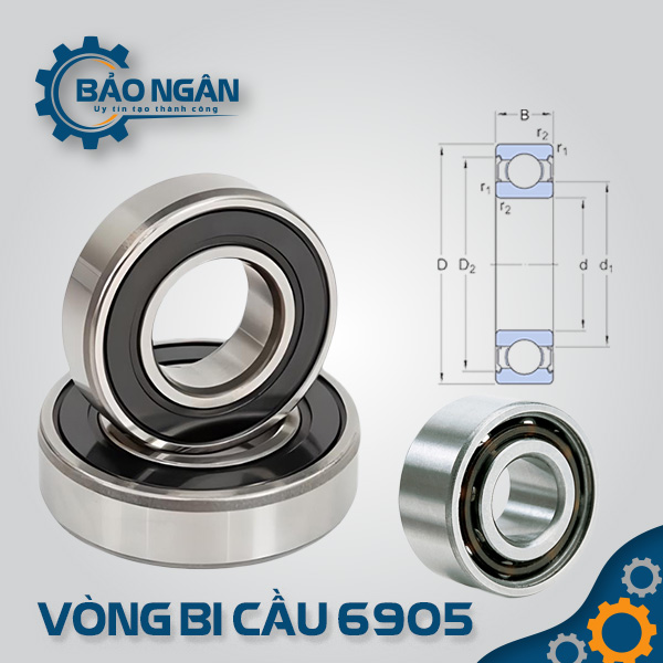 Vòng bi cầu 6905