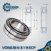 Vòng bi đũa N 319 ECP