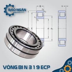Vòng bi đũa N 319 ECP