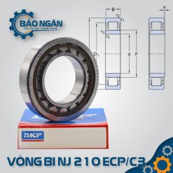Vòng bi đũa NJ 210 ECP/C3