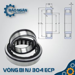 Vòng bi đũa NJ 304 ECP