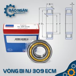 Vòng bi đũa NJ 309 ECM