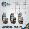 Vòng bi đũa NU 204 ECP
