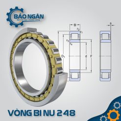 Vòng bi đũa NU 248