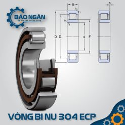 Vòng bi NU 304 ECP