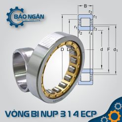Vòng bi đũa NUP 314 ECP