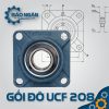Gối Đỡ Vòng Bi UCF 208