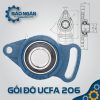 gối đỡ vòng bi ucfa 206