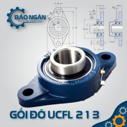 Gối Đỡ Vòng Bi UCFL 213