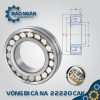 vòng bi Cà Na 22220 CAK
