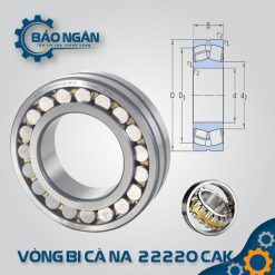 vòng bi Cà Na 22220 CAK